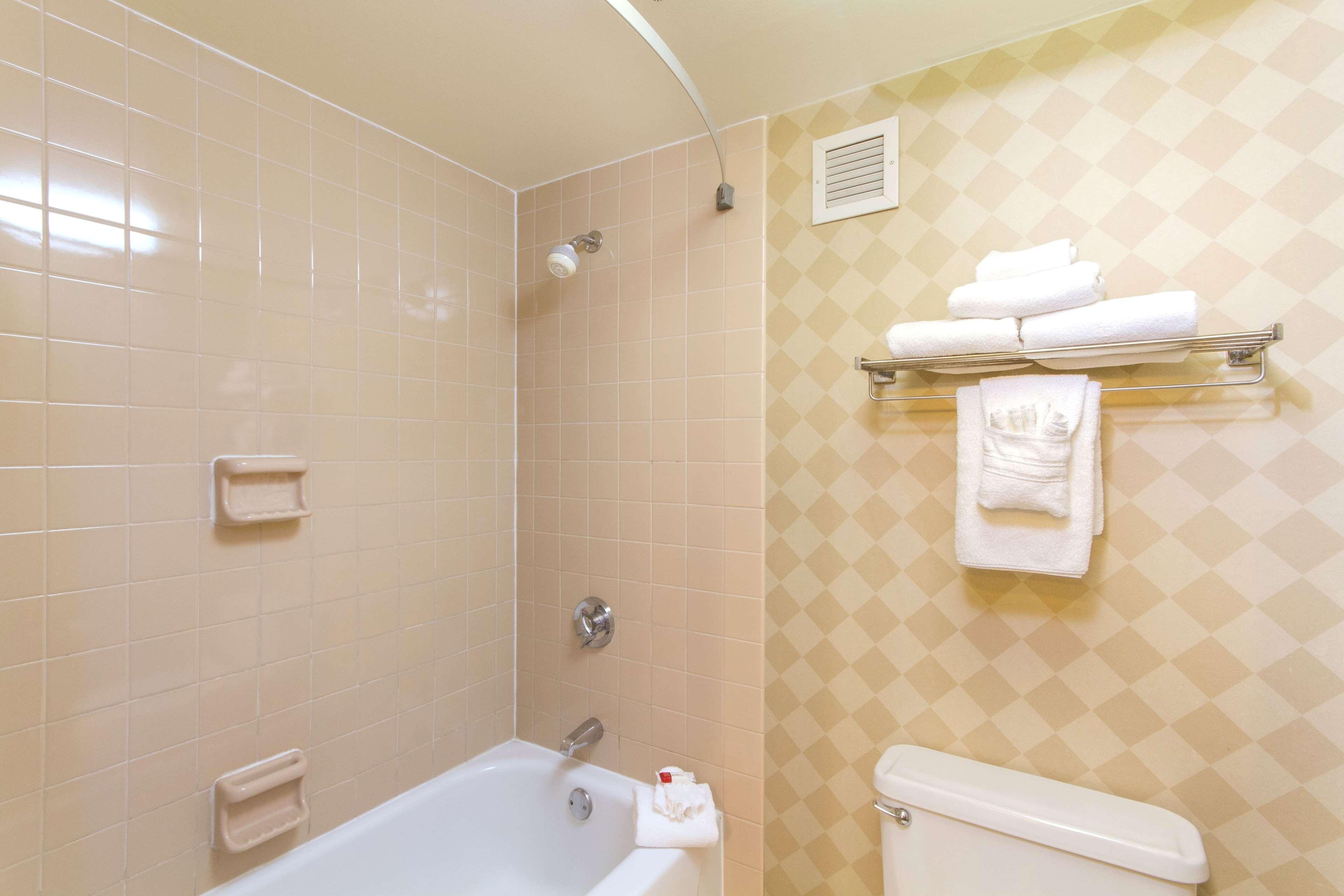 Comfort & Airport Hotel Buffalo